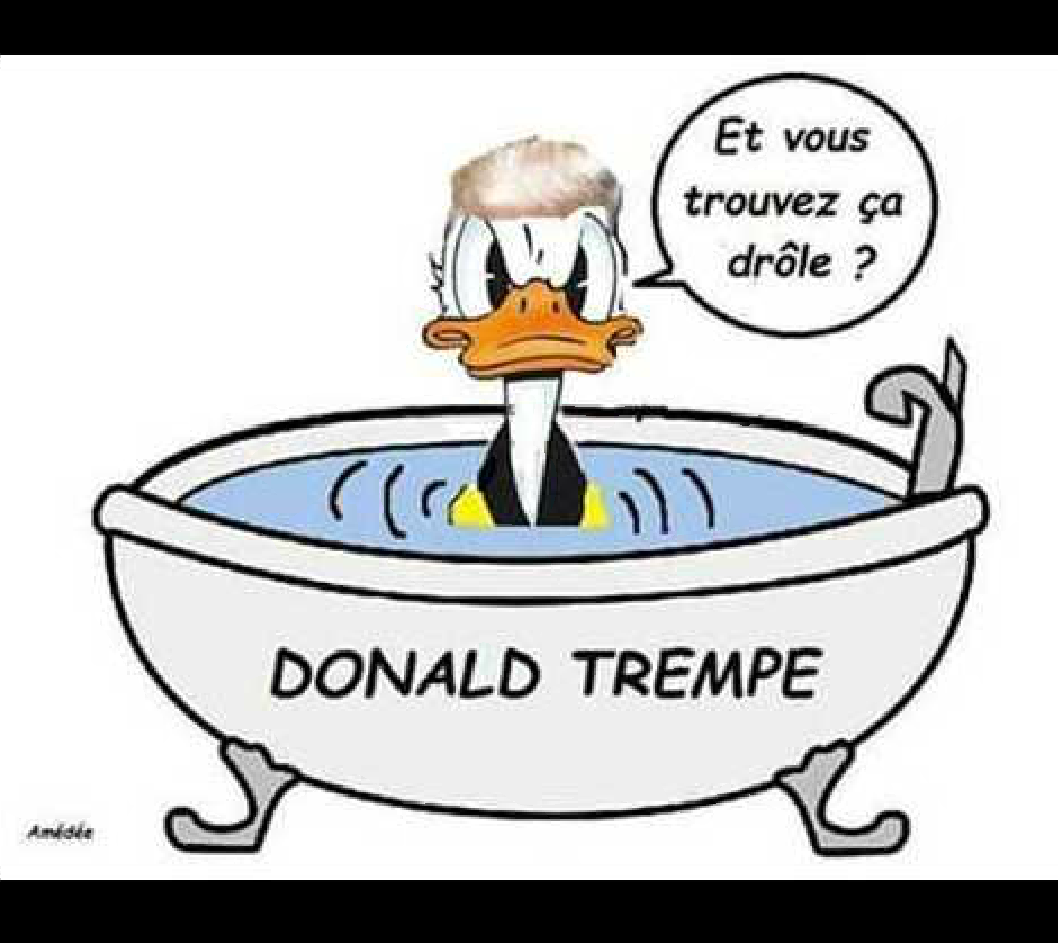 http://www.prise2tete.fr/upload/Franky1103-Donald.png