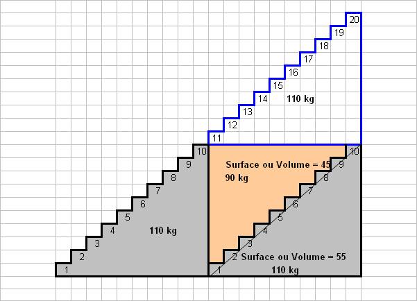 http://www.prise2tete.fr/upload/NickoGecko-escalier2.jpg