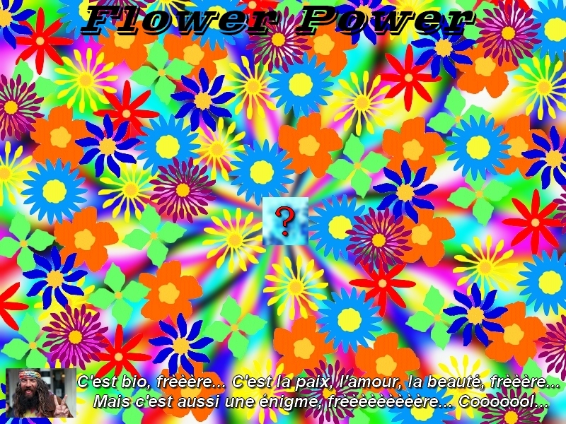 http://www.prise2tete.fr/upload/SHTF47-Enigmatrip-flowerpower.jpg