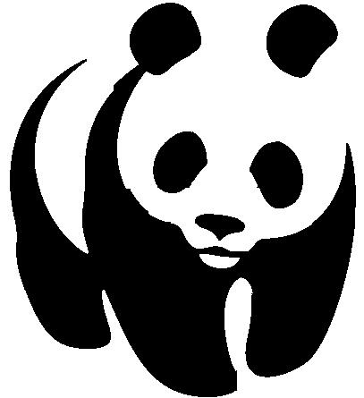 Image Panda Dessin Noir Et Blanc