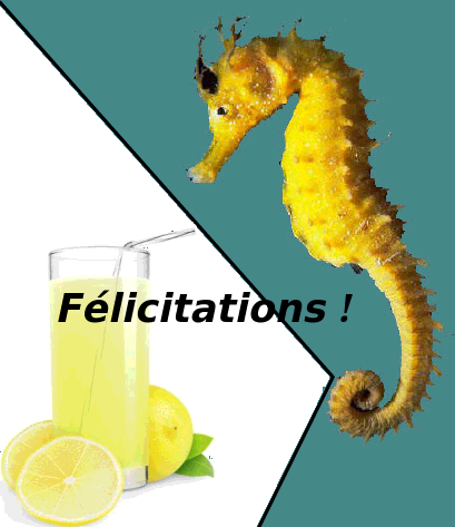 http://www.prise2tete.fr/upload/elpafio-e17_hippocampe_et_limonade.png