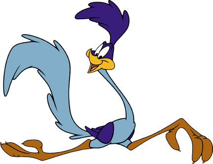 http://www.prise2tete.fr/upload/fvallee27-Roadrunner.png