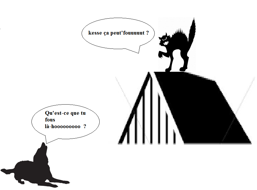 http://www.prise2tete.fr/upload/fvallee27-chienchat.png