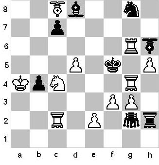 http://www.prise2tete.fr/upload/gasole-fairy-chess.JPG
