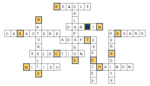 http://www.prise2tete.fr/upload/langelotdulac-fixembranchements.png