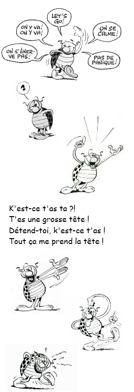 http://www.prise2tete.fr/upload/langelotdulac-rebusnobo.png