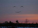 http://www.prise2tete.fr/upload/langelotdulac-sourire.jpg