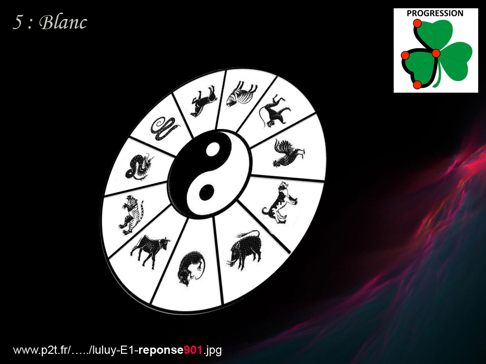http://www.prise2tete.fr/upload/luluy-E1-blanc385.jpg