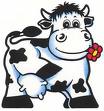 http://www.prise2tete.fr/upload/maitou22-vache_fleur2.jpeg