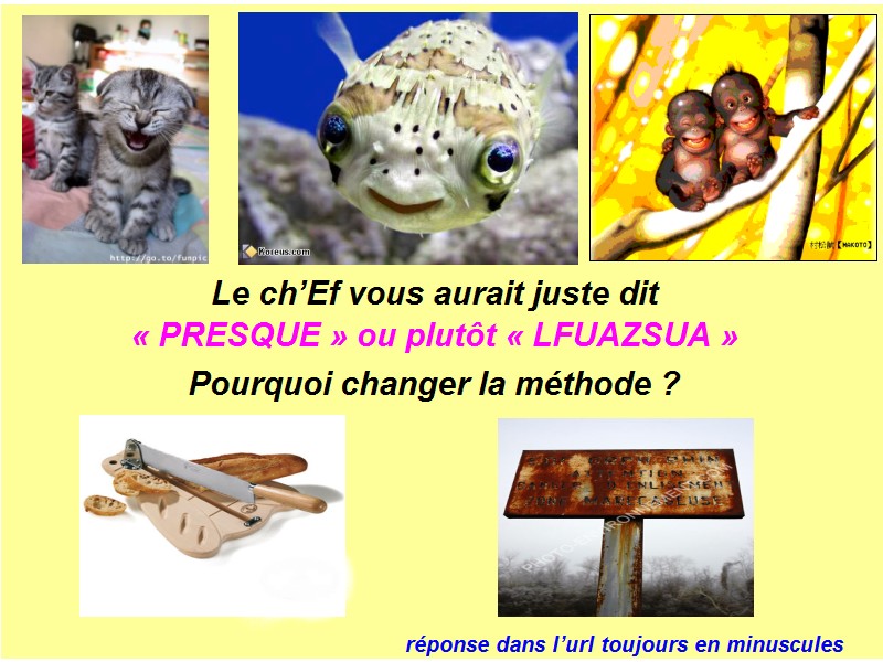 http://www.prise2tete.fr/upload/moicestmoi-SAV08-croutons-rouille.jpg
