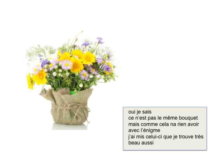 http://www.prise2tete.fr/upload/nobodydy-M500-fleur.jpg