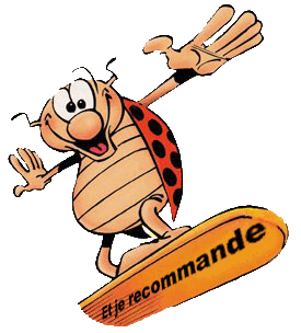 http://www.prise2tete.fr/upload/nobodydy-bidipe-coccinelle2.png