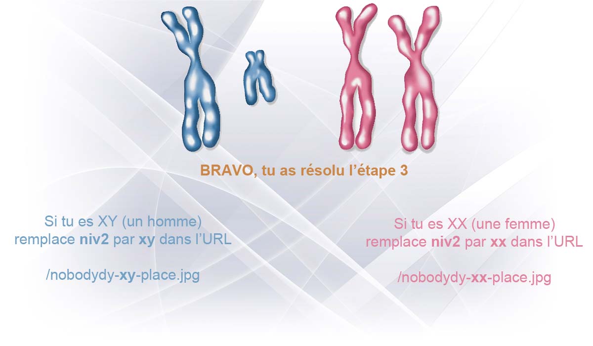 http://www.prise2tete.fr/upload/nobodydy-niv2-chromosomes.jpg