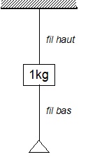 http://www.prise2tete.fr/upload/victosaurus-schema.jpg